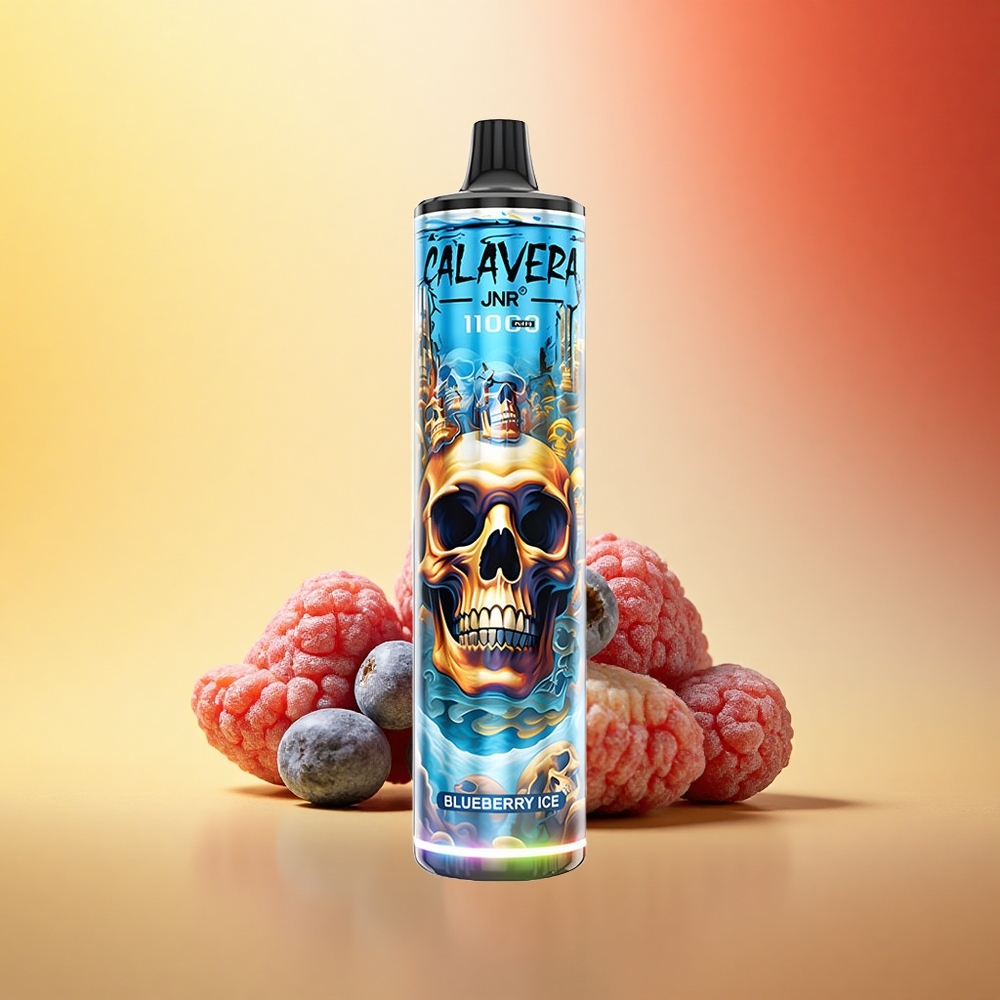 JNR Calavera 11000 Borovnični Led z 850 mAh in 21ml