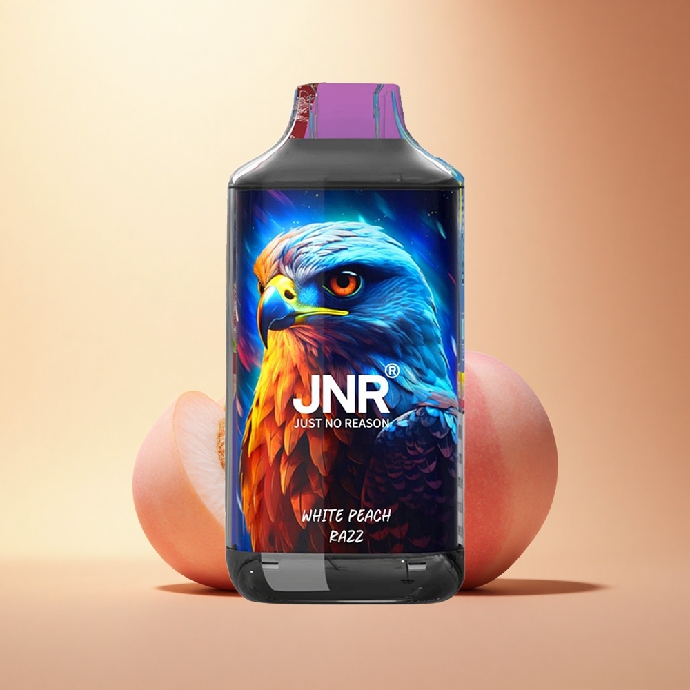 JNR Falcon 16000 Bel Peč Rak z Dvojno Mrežo in Pametnim LED