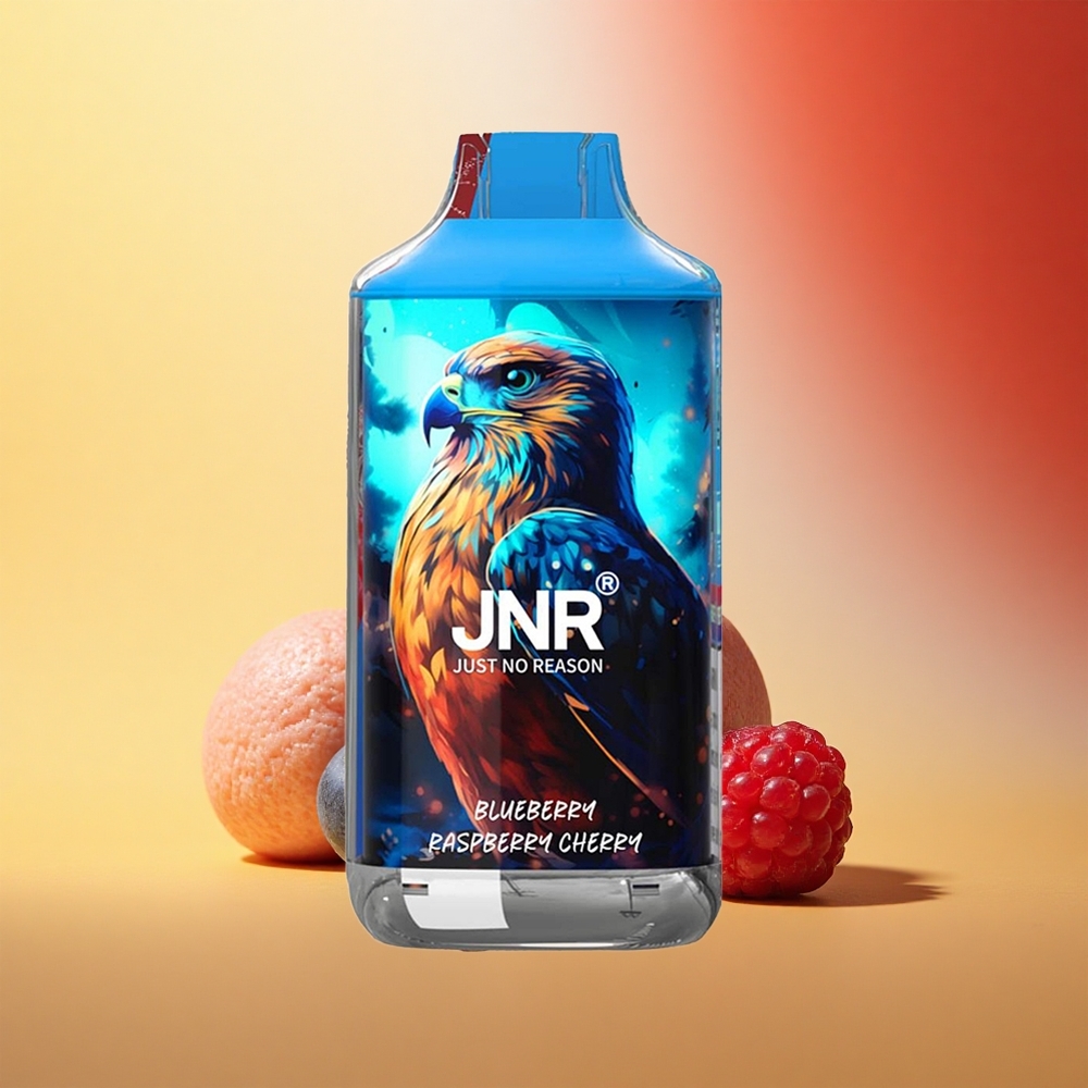 JNR Falcon 16000 Borova Malina Češnja Dual LED 850mAh Type-C