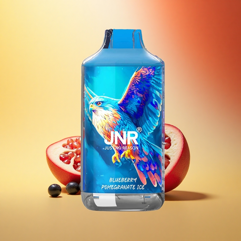 JNR Falcon 16000 Borovnica Granat Ledeni Dual Mesh 22ml 850mAh Type C