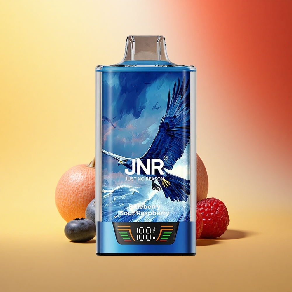 JNR Falcon Pro 28000 Borova kisla malina z USB Type-C in 30ml polnjenja
