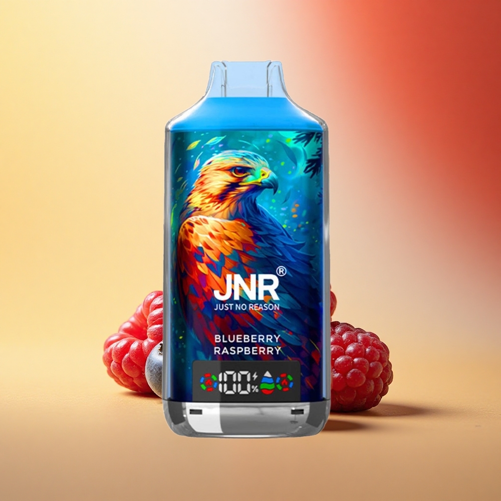 JNR Falcon X 18000 Borova Malina Dual Mesh 750mAh Type-C 24ml