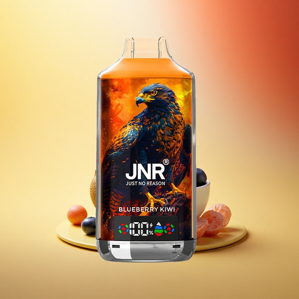 JNR Falcon X 18000 Borovnica Kivi 750mAh Dual Mesh Digital Type-C