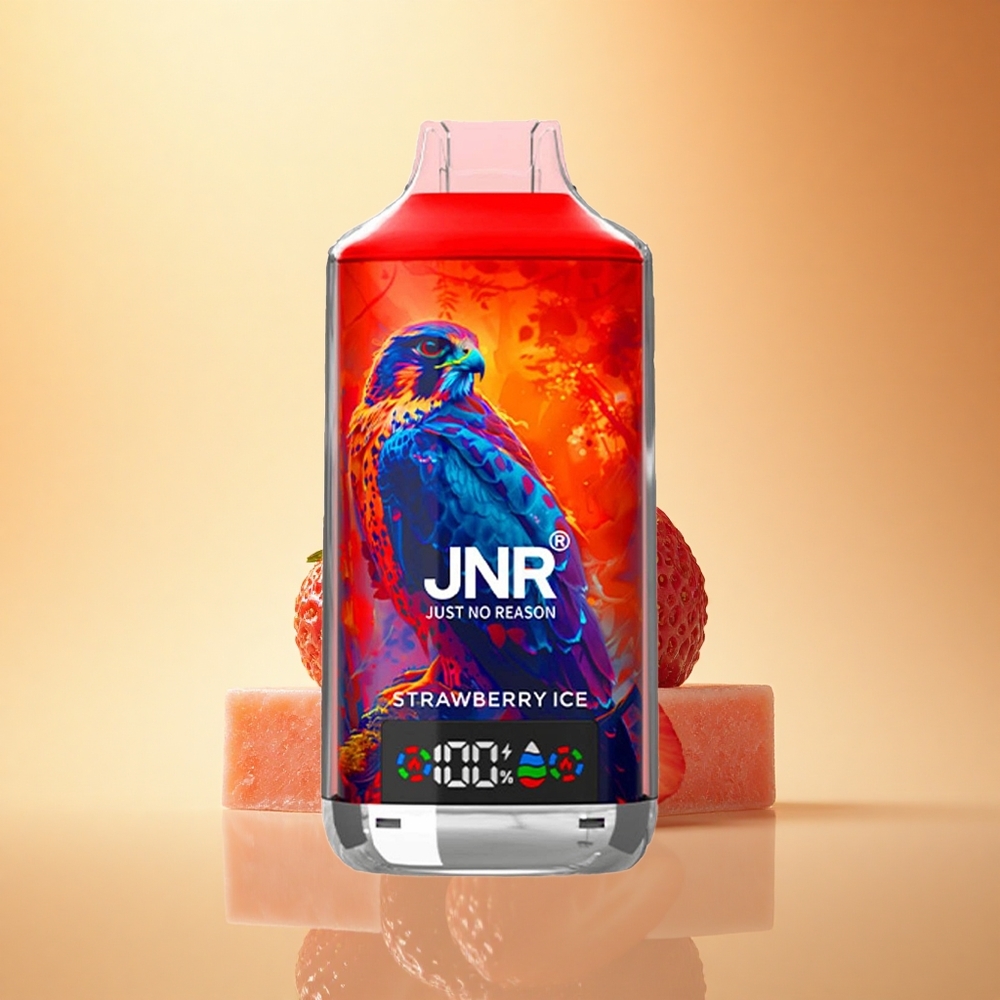 JNR Falcon X 18000 Jagodni Led z Dvojno Mrežo, Tip-C in 24ml