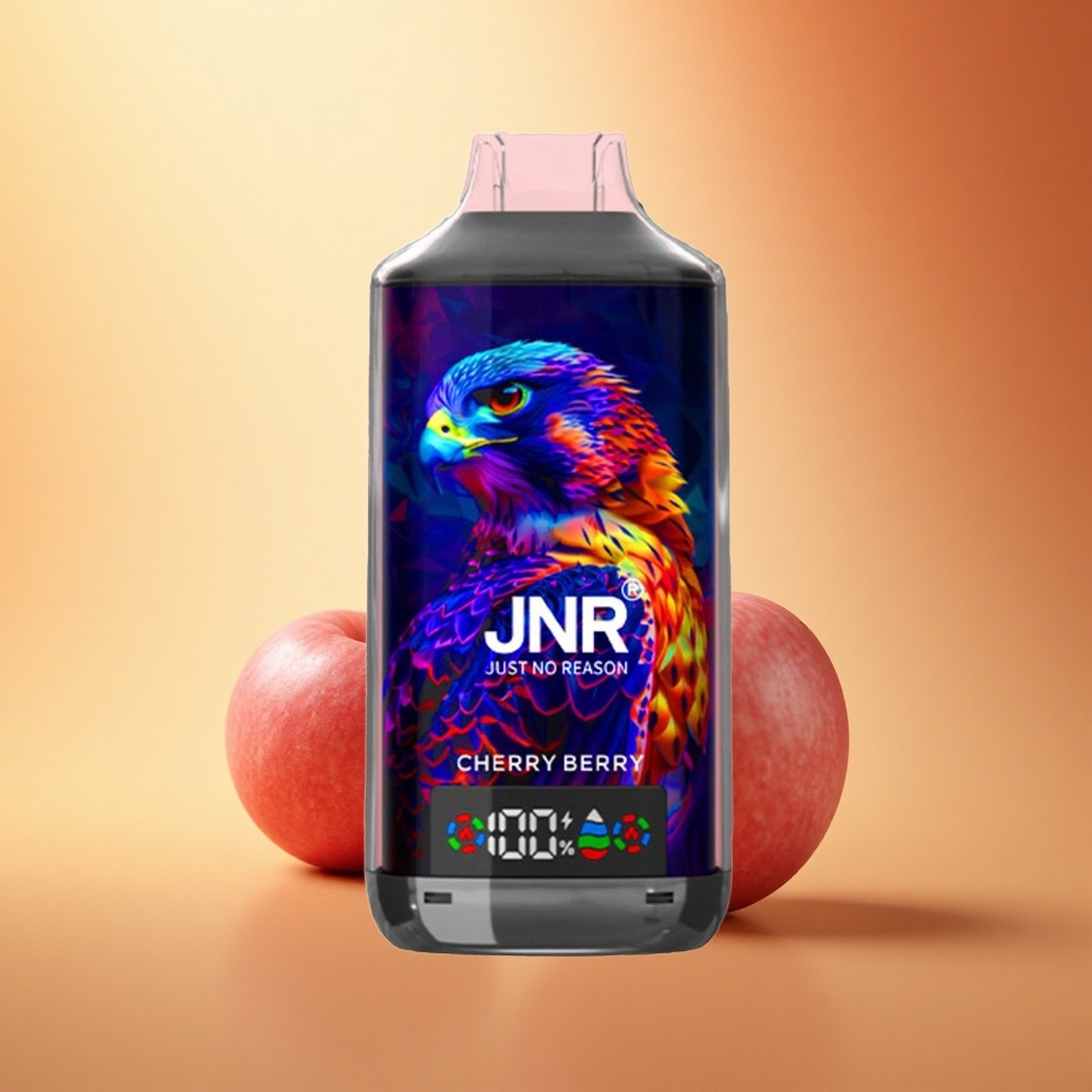 JNR Falcon X 18000 Češnjeva Jagoda Dual Mesh 24ml Digital Type-C