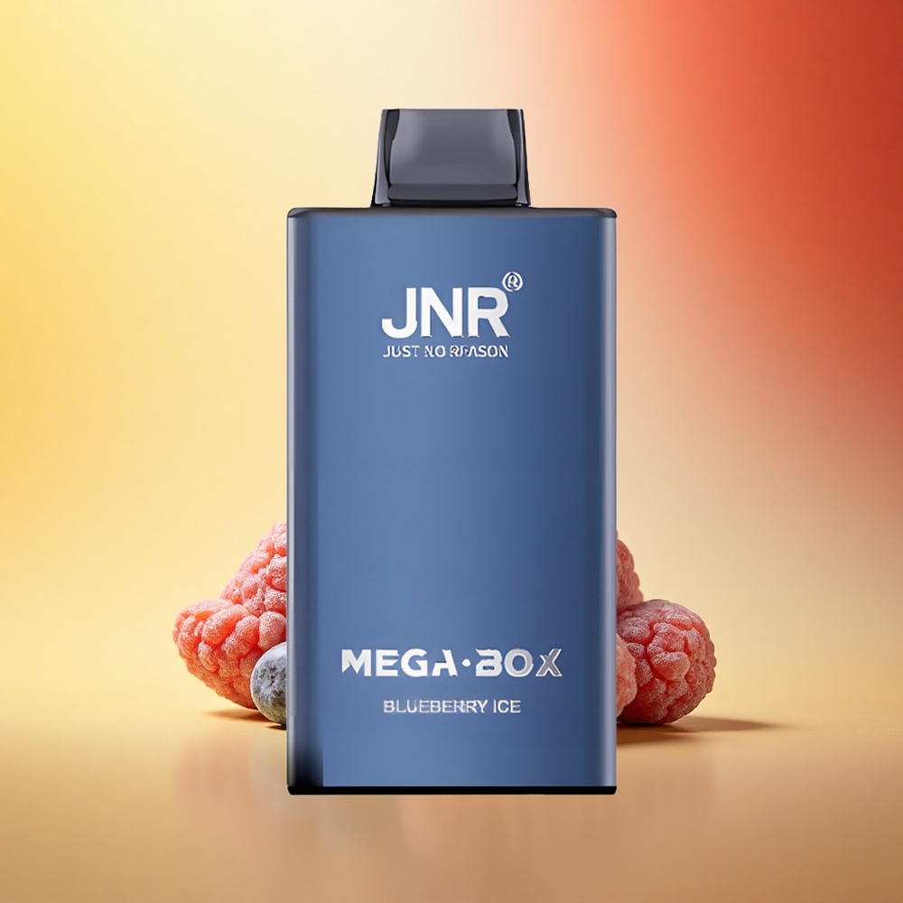 JNR Mega Box 25000 Borovnični Led z Dvojno Mrežo in Hitrim Polnjenjem