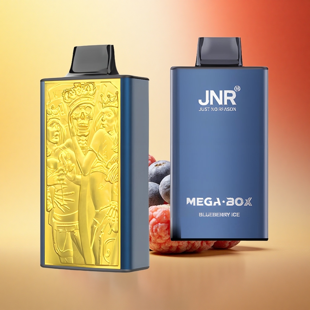 JNR Mega Box 25000 Borovnični Led z Dvojno Mrežo in Hitrim Polnjenjem