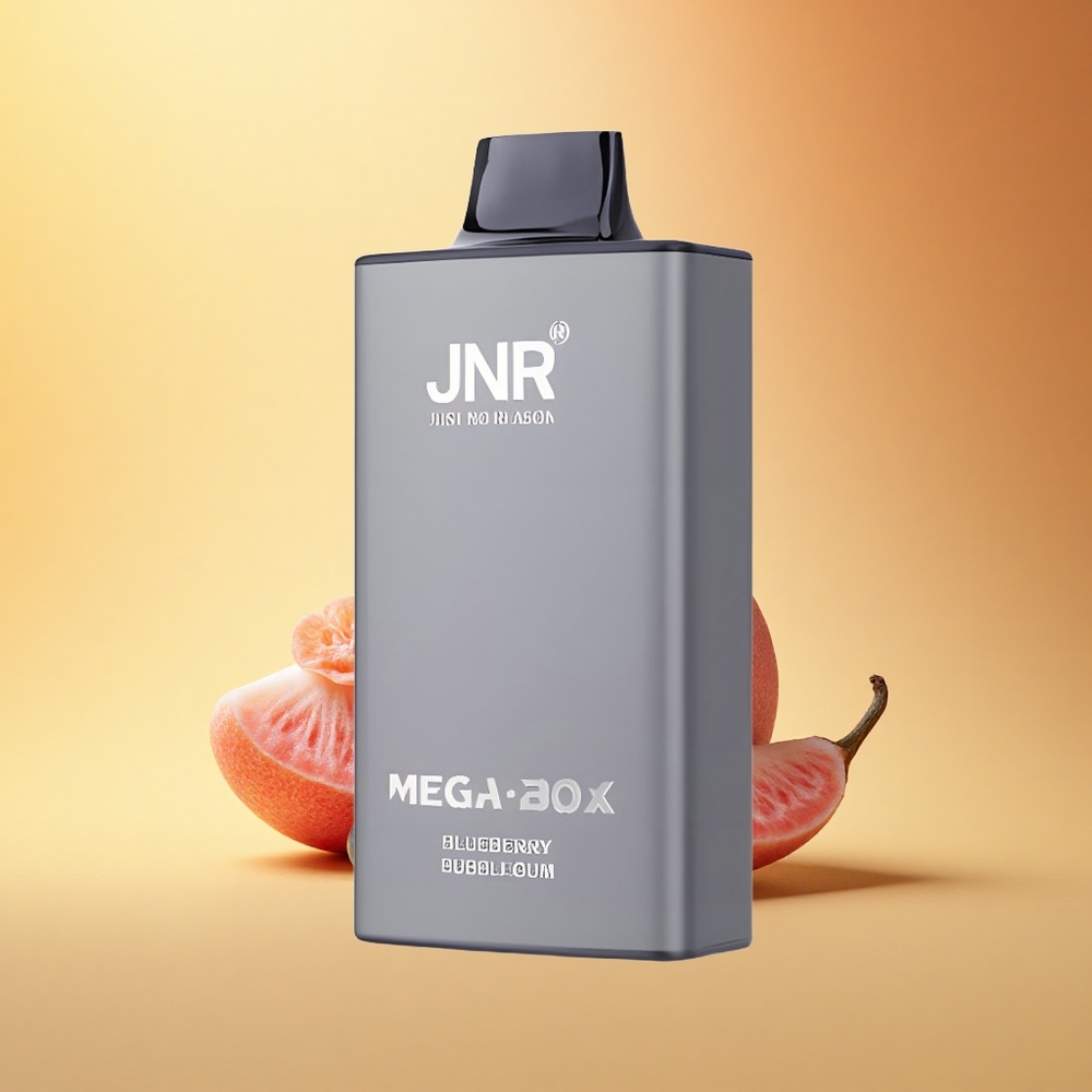 JNR Mega Box 25000 Borovnični Mehurček Dual Mesh & Hitra Polnitev