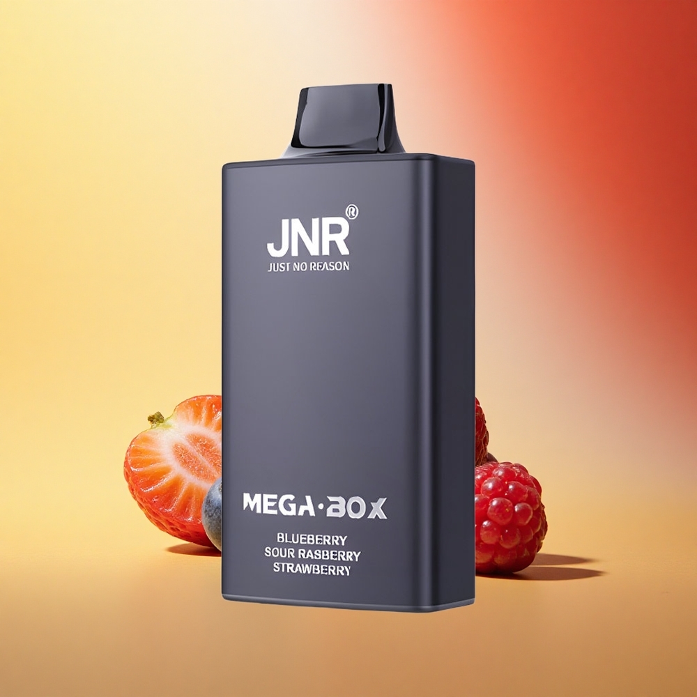 JNR Mega Box 25000 Borovnično-Kislo-Malinovni Dvojni Srednji Ovoj & Hitri Polnilec Tip-C