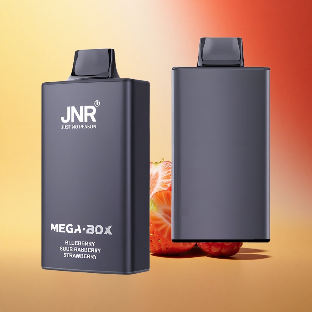 JNR Mega Box 25000 Borovnično-Kislo-Malinovni Dvojni Srednji Ovoj & Hitri Polnilec Tip-C