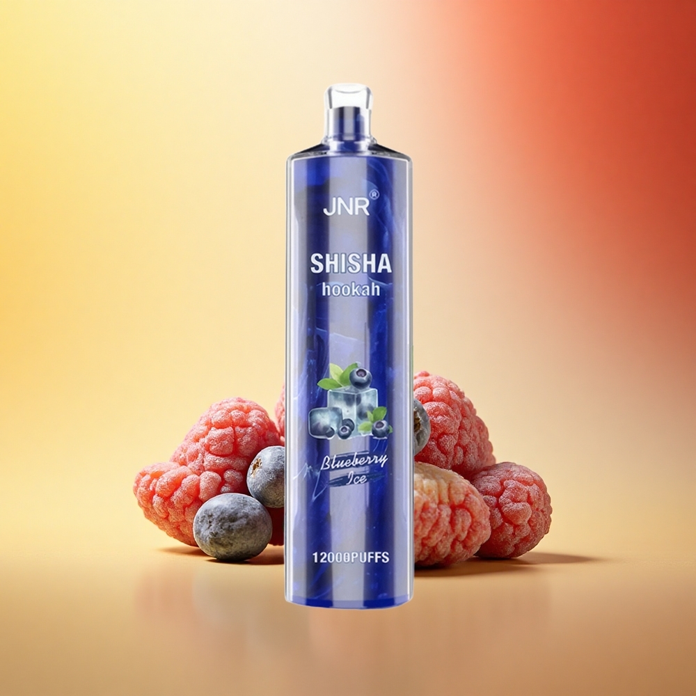 JNR Shisha Hookah 12000 Borova Ledena 24ml 750mAh