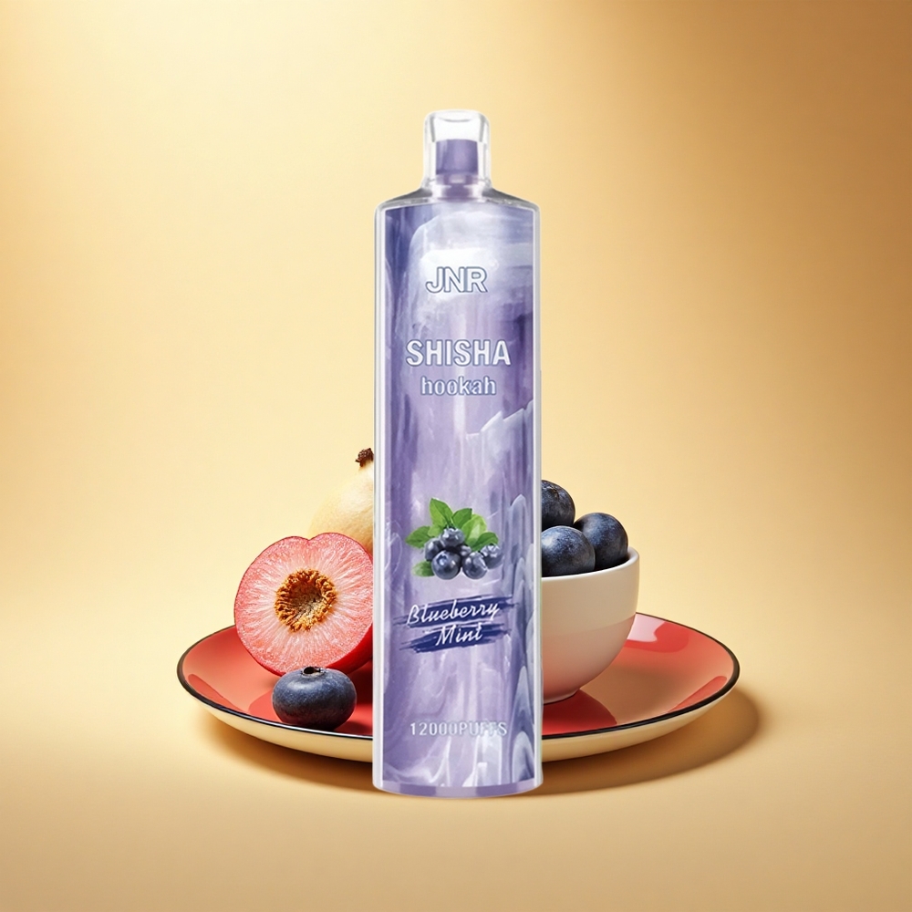 JNR Shisha Hookah 12000 Borovnica Meta 24ml 750mAh