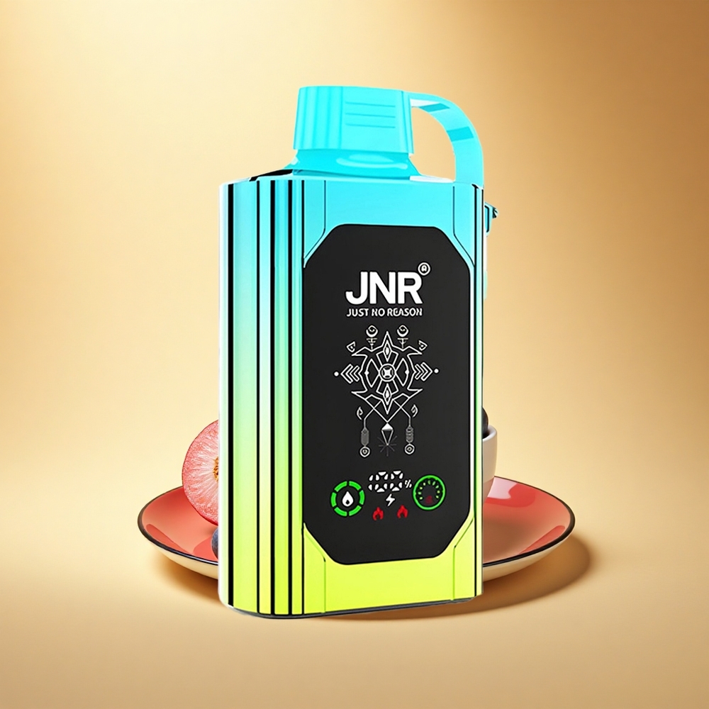 JNR Shisha Hookah Box 20500 Borovnica Meta HD Dvojno Mrežno Navitje & Hitri Polnilni Tip-C