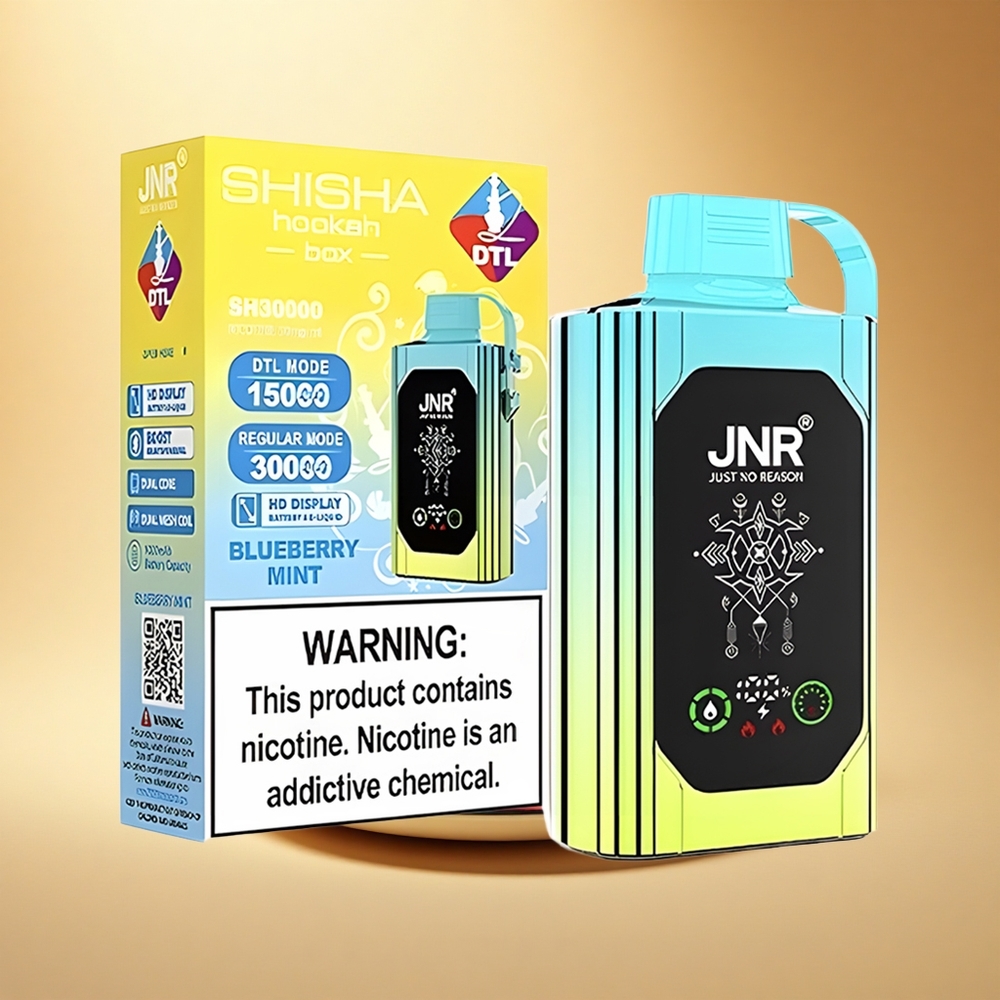 JNR Shisha Hookah Box 20500 Borovnica Meta HD Dvojno Mrežno Navitje & Hitri Polnilni Tip-C