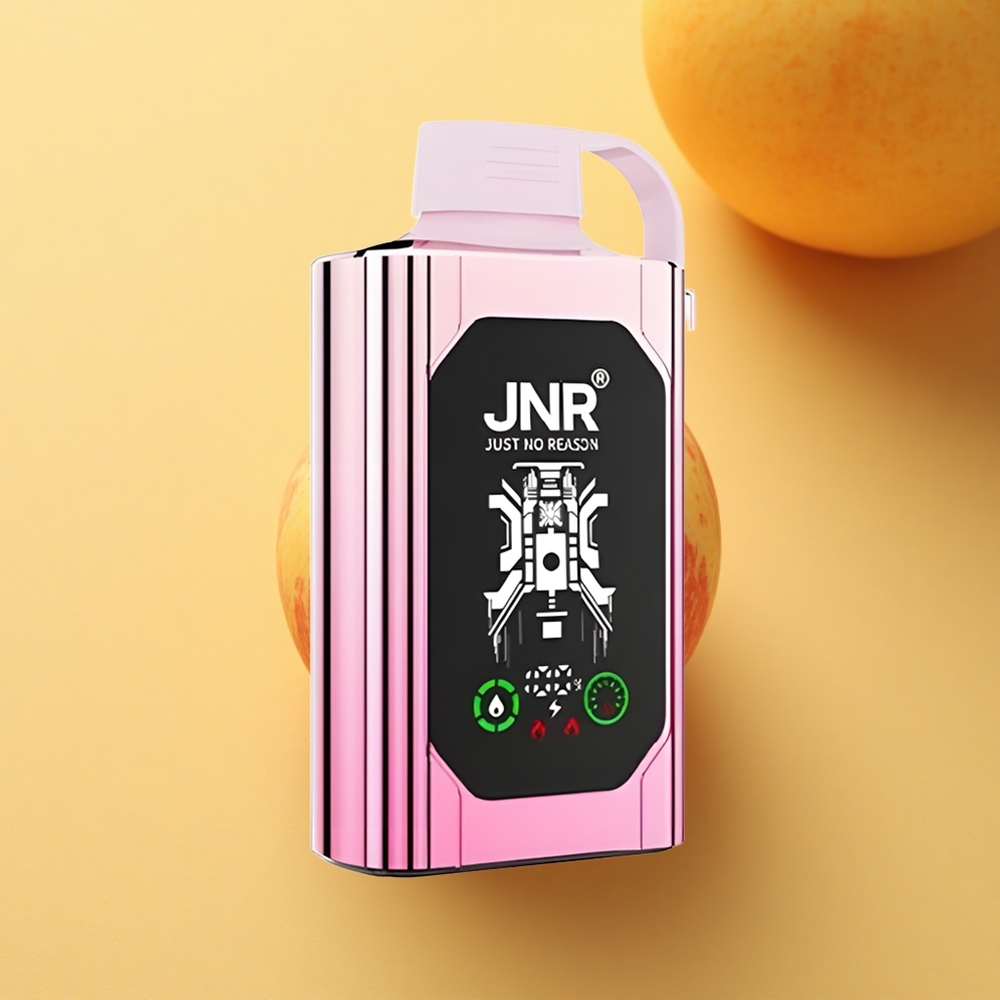 JNR Shisha Hookah Box 20500 Dama Ubijalka HD Prikaz 25ml Dvojno Mrežasto